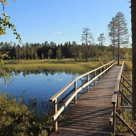 Laahtanen 2*